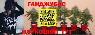 прущие крисы Кинель