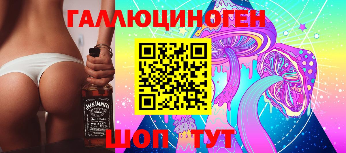 Псилоцибиновые грибы Psilocybine cubensis  Вход с VPN  Кольчугино 