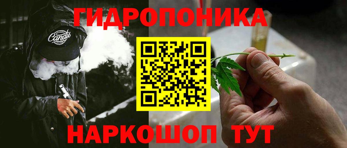 Конопля планчик Кольчугино